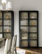 Shou Sugi Ban Curio Cabinet