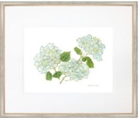 Hydrangea II 26x22