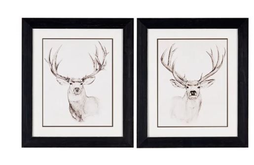Natural Buck Art