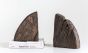 SET/2 Wood Wheel Cog Bookends