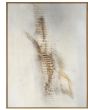 Fossil Art