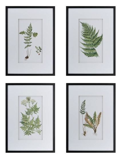 Framed Lush Botanical Print