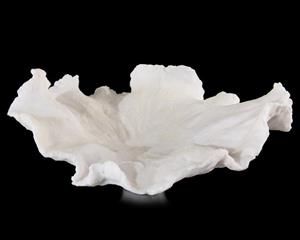 Translucent White Wave Bowl