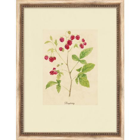 Floral Study 2