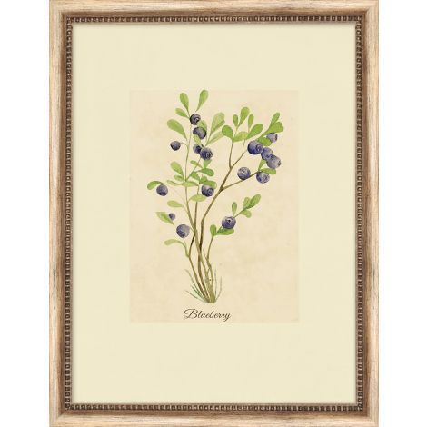 Floral Study 1