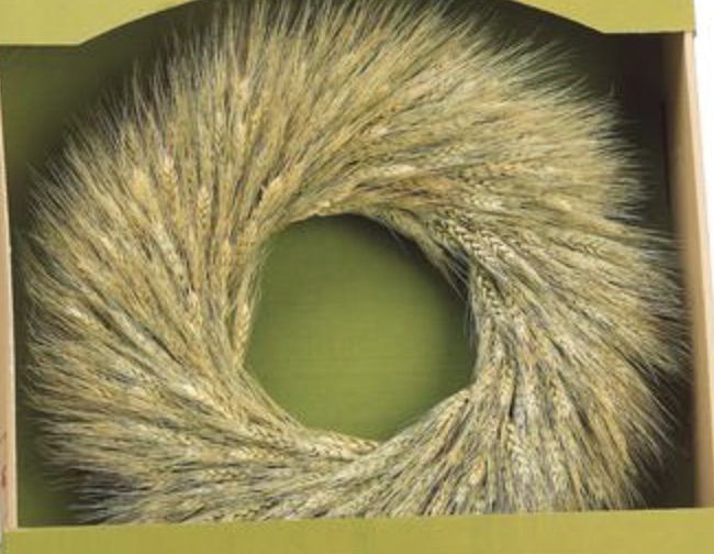 Preserved Wheat Wreath