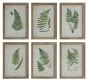 Wood Framed Fern Print