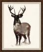 Black & White Stag Art 2