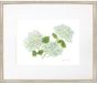 Hydrangea II 26x22