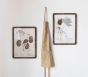 Rattan Framed Botanical Prints