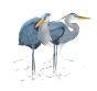 Herons At Dawn