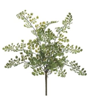 15" Green Lace Fern Bush