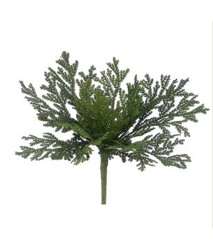 12" Green Cedar Bush