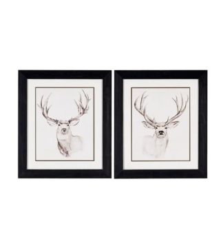 Natural Buck Art
