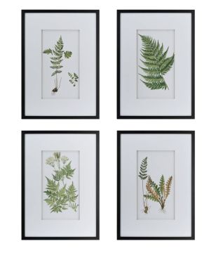 Framed Lush Botanical Print