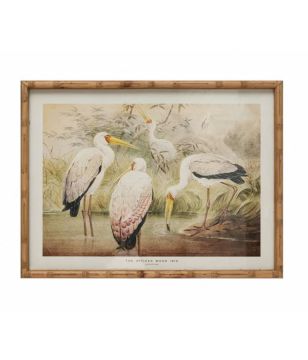 Framed Vintage Storks Image