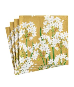 Paperwhites in Gold Cocktail