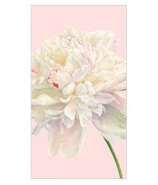 Duchess Peonies Blush Guest