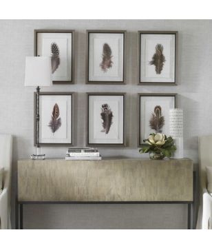 Framed Feathers