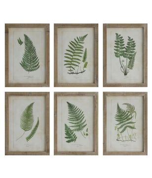 Wood Framed Fern Print