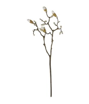 33" Magnolia Branch