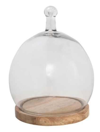 Glass Cloche