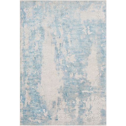 Light Gray Blue White Area Rug