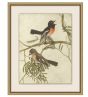 Birds of Autumn 5