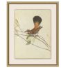 Birds of Autumn 4