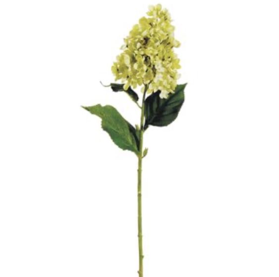28" Lime Cone Hydrangea Spray