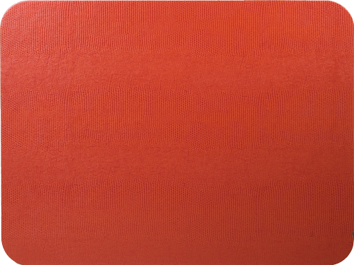 Orange Lizard Placemat