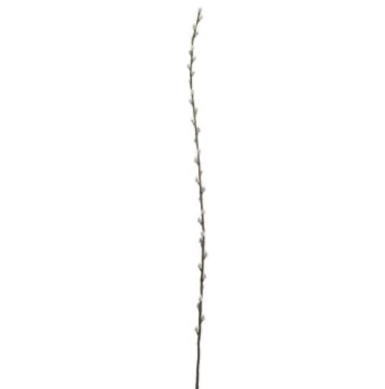 46" Pussy Willow Branch