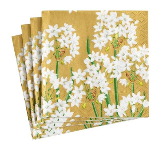Paperwhites in Gold Cocktail