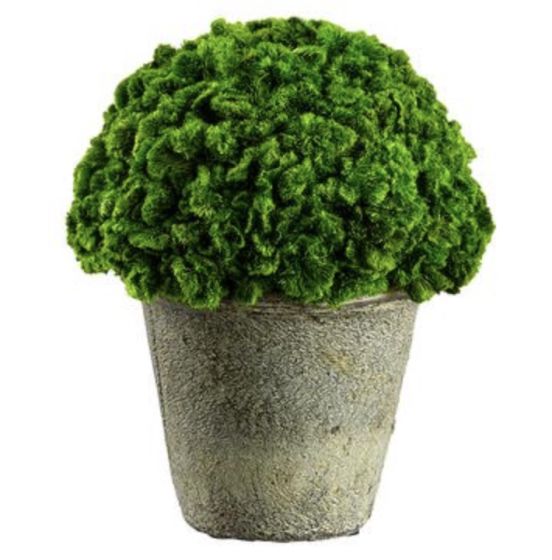 Preserved Moss in Clay Pot