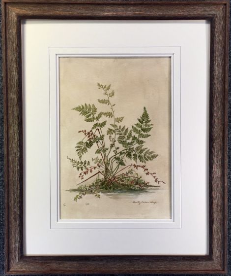 Matheson Fern III