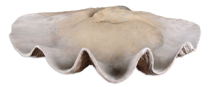 Natural Clam Shell Bowl