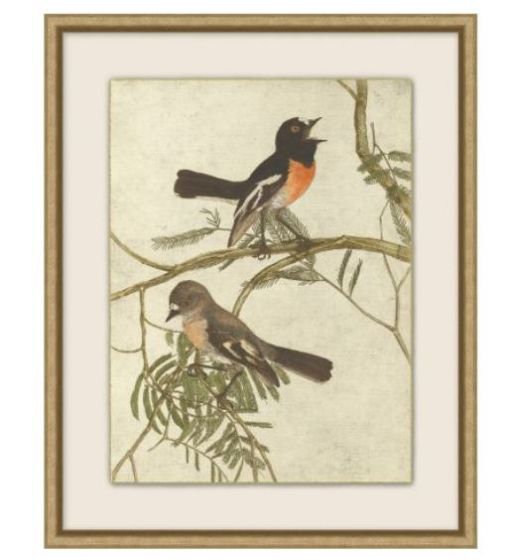 Birds of Autumn 5
