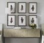 Framed Feathers