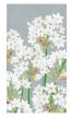 Paperwhites in Silver Guest
