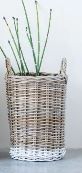 Small Basket with Handle