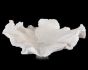 Translucent White Wave Bowl