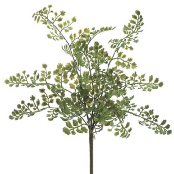 15" Green Lace Fern Bush