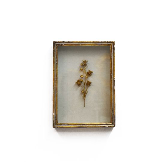 Gold Framed Bellflower