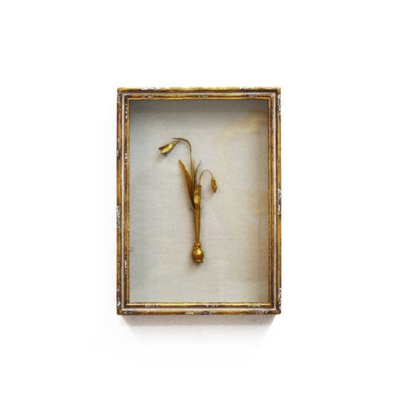 Gilded Framed Flower