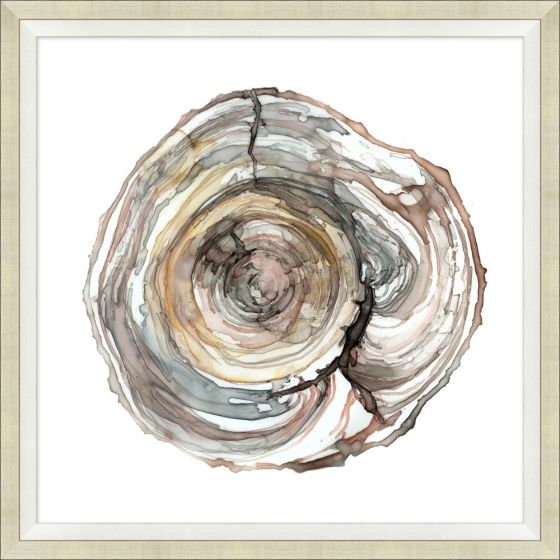 Rings in Wood 2