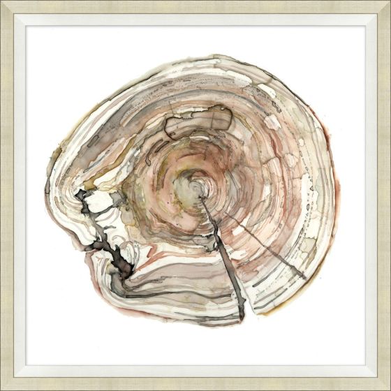 Rings in Wood 3