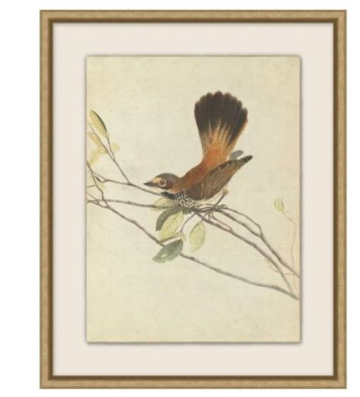 Birds of Autumn 4
