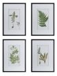 Framed Lush Botanical Print