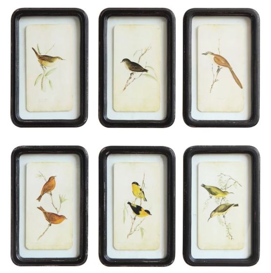 Distressed Wood Frame with Bird