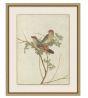 Birds of Autumn 2